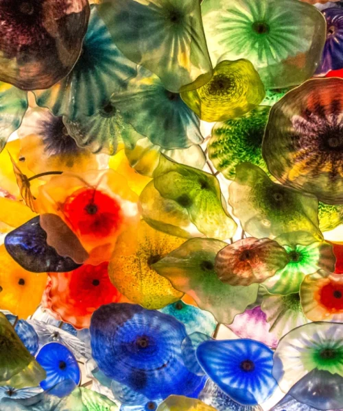 Michal Sela - Photographic Storytelling